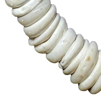 20 inch Genuine Conus Raw Puka Shell Necklace